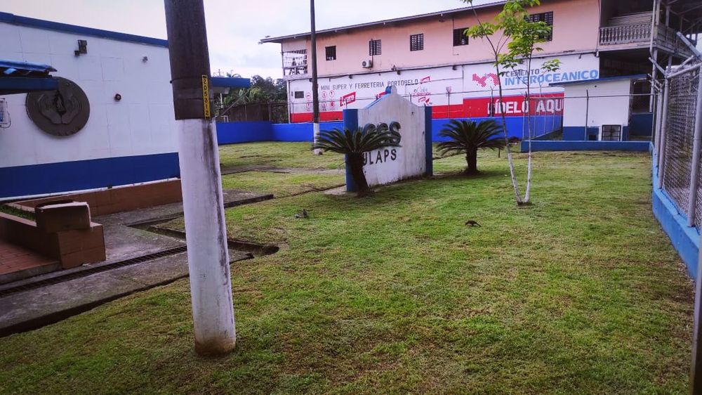 Servicios de jardinería y paisajismo corporativo en Panamá